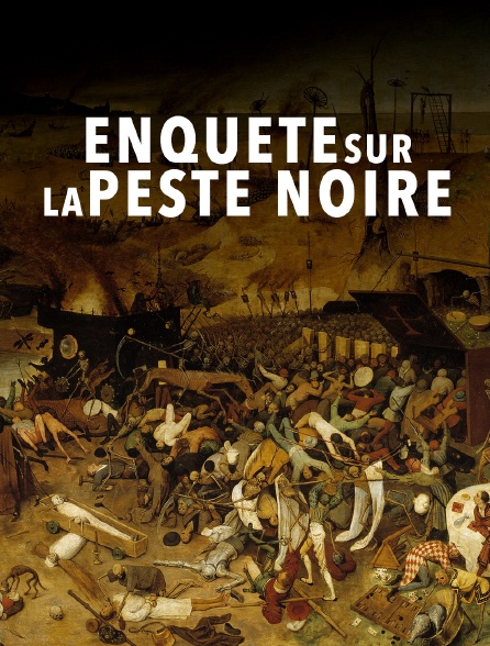 Enquête sur la peste noire