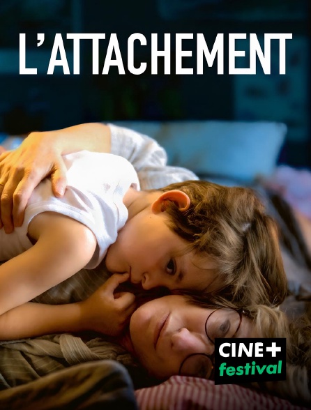 CINE+ Festival - L'Attachement