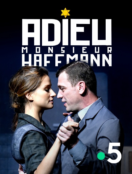 France 5 - Adieu Monsieur Haffmann