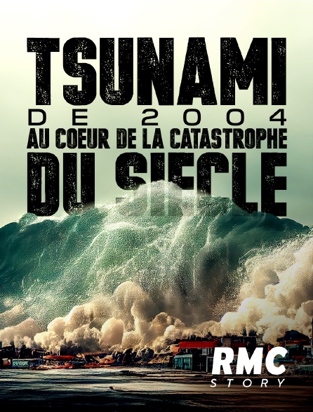 RMC Story - Tsunami de 2004 : au coeur de la catastrophe du siècle