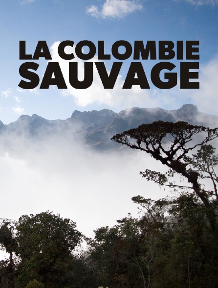 La Colombie sauvage