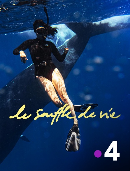 France 4 - Le souffle de vie en replay
