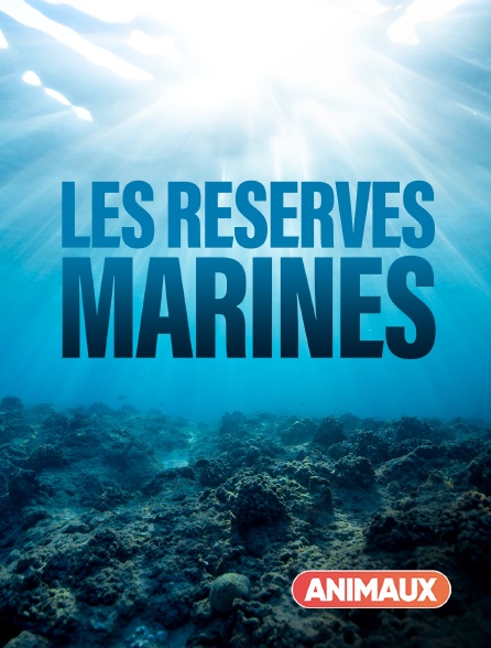 Animaux - Les réserves marines