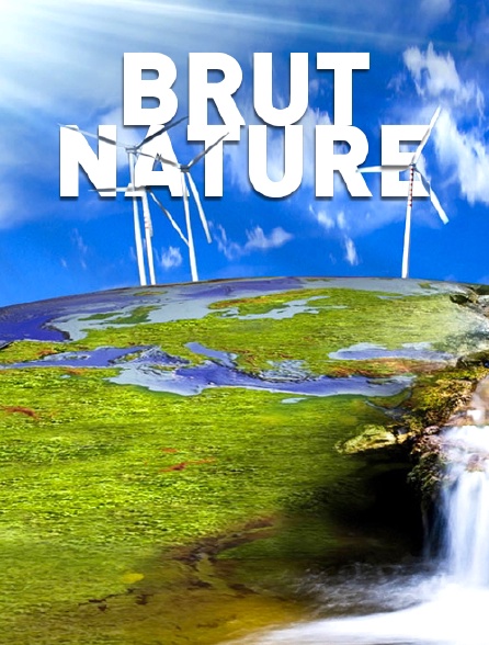 Brut nature
