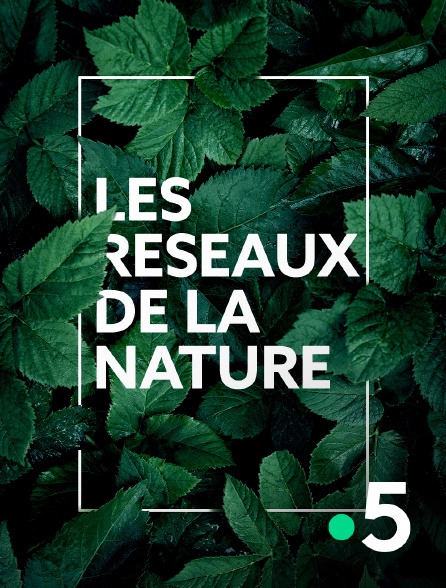 France 5 - Les réseaux de la nature