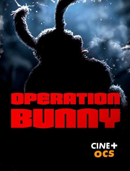 CINÉ Cinéma - Opération bunny