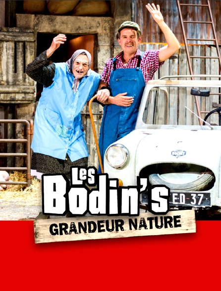 Les Bodin S Grandeur Nature En Streaming