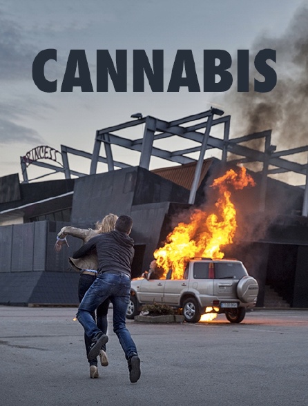 Cannabis