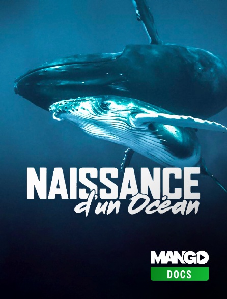 MANGO Docs - Naissance d'un océan