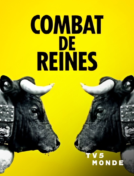 TV5MONDE - Combats des Reines