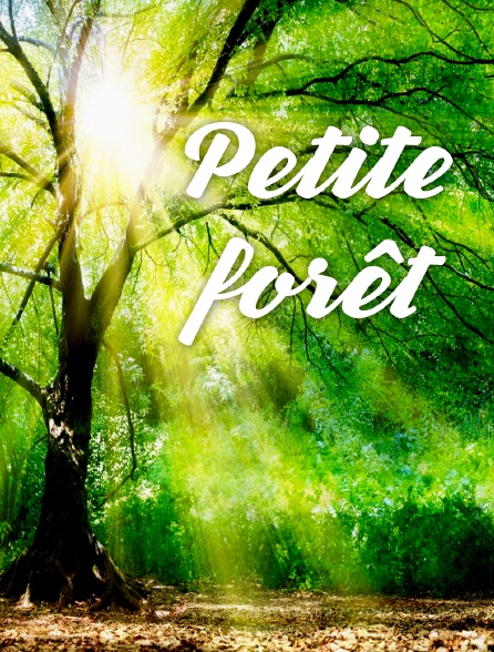 Petite forêt