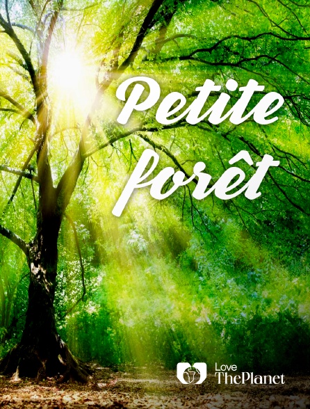 Love the Planet - Petite forêt
