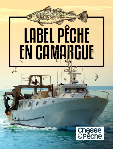 Chasse et pêche - Label Pêche en Camargue