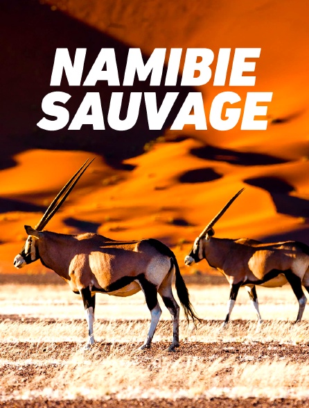 Namibie sauvage