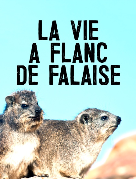 La vie à flanc de falaise