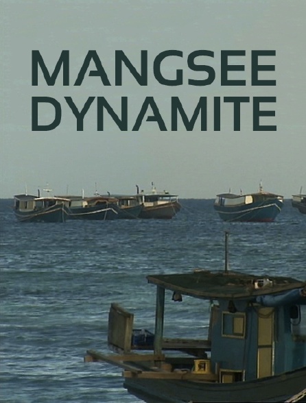 Mangsee dynamite