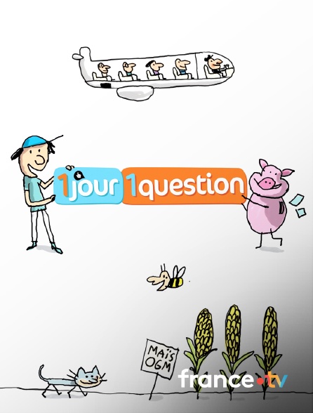 france.tv - 1 jour, 1 question