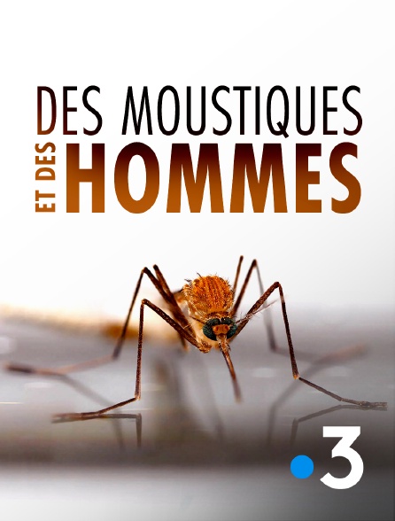 France 3 - Des moustiques et des hommes