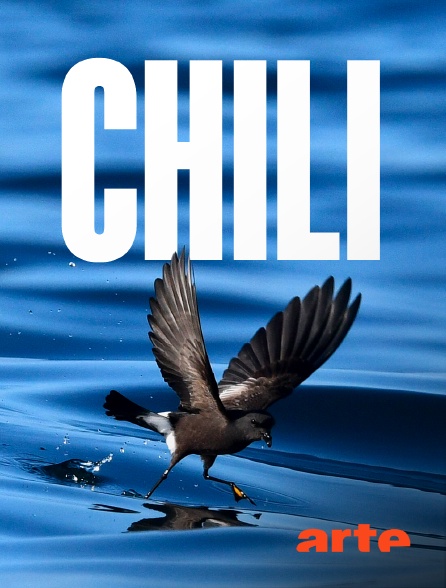 Arte - Chili, les messagers invisibles du désert d'Atacama