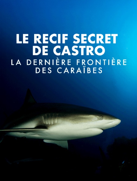 Le récif secret de Castro - La dernière frontière des Caraïbes