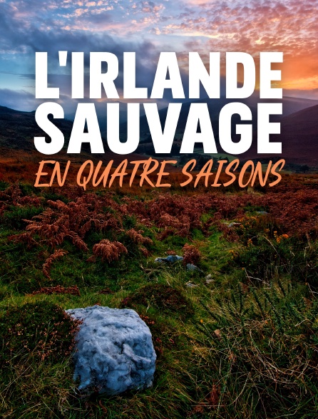 L'Irlande sauvage en quatre saisons