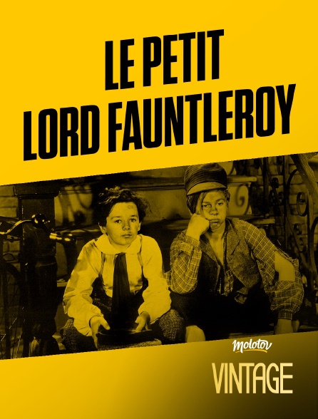 Molotov Channels Vintage - Le Petit Lord Fauntleroy