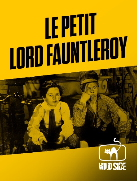 Mango - Le Petit Lord Fauntleroy