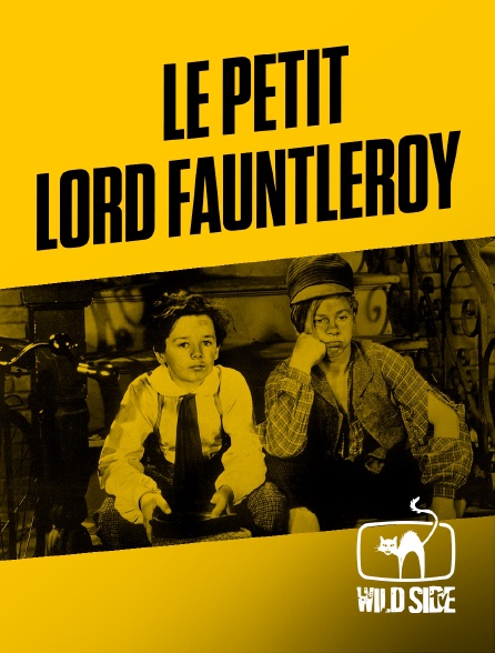 Molotov channels - Le Petit Lord Fauntleroy