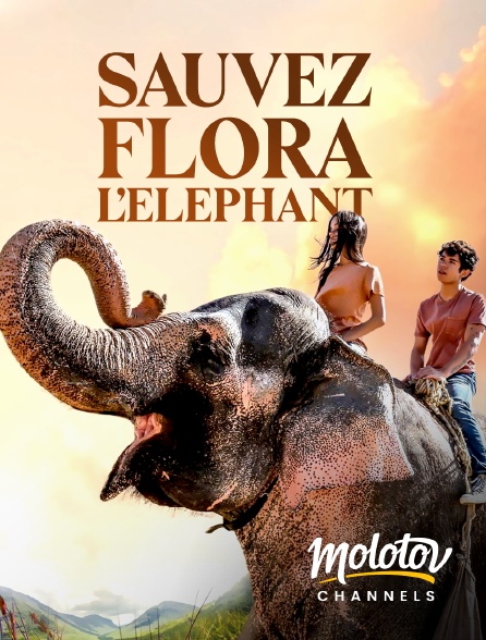 Molotov Channels - Sauvez Flora l'éléphant
