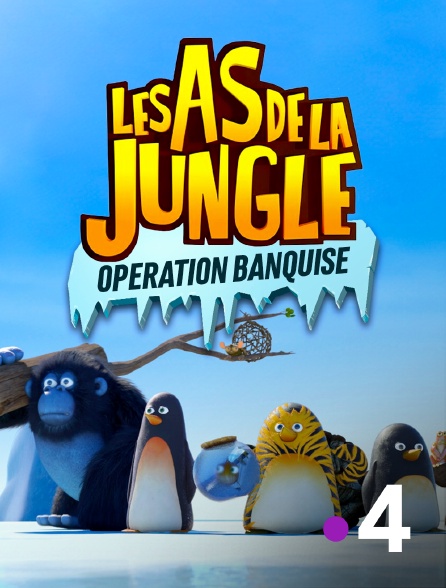 France 4 - Les as de la jungle : opération banquise