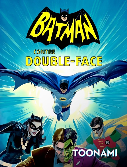 Toonami - Batman contre Double-Face