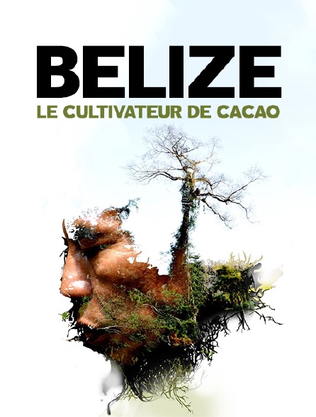Belize, le cultivateur de cacao