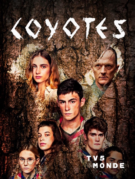 TV5MONDE - Coyotes
