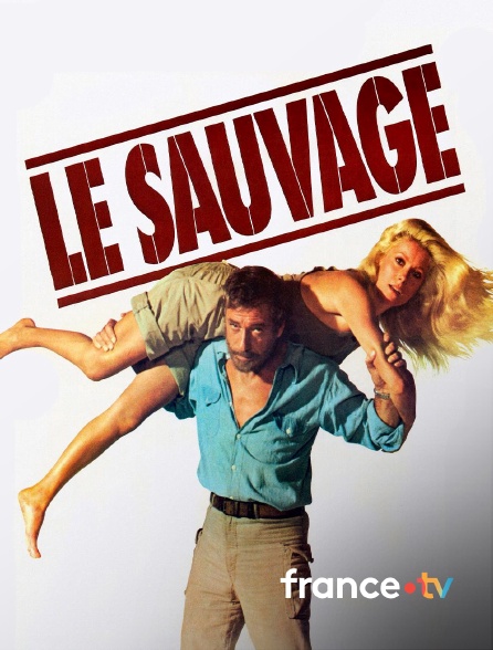 france.tv - Le sauvage en replay