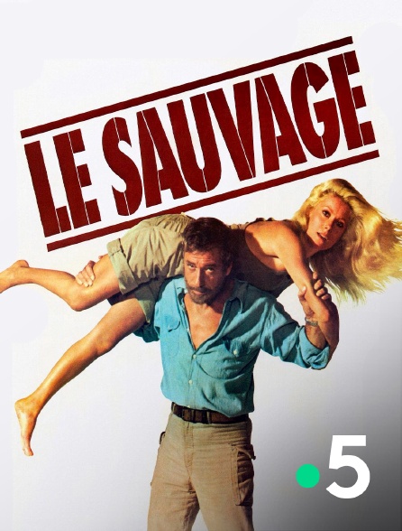 France 5 - Le sauvage
