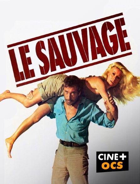 CINÉ Cinéma - Le sauvage