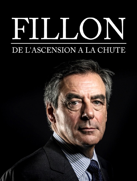 Fillon : de l'ascension à la chute