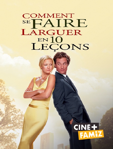 Comment Se Faire Larguer En 10 Leçons En Streaming Comment se faire larguer en 10 leçons en Streaming sur Ciné+ Famiz