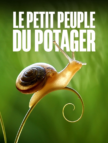 Le petit peuple du potager