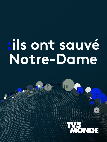 TV5MONDE - Ils ont sauvé Notre-Dame