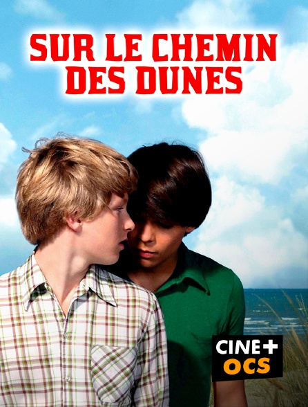 CINÉ Cinéma - Sur le chemin des dunes