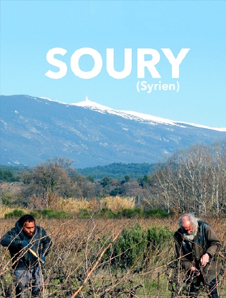 Soury (syrien)