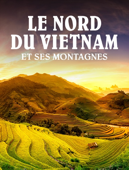 Le nord du Vietnam et ses montagnes