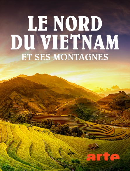 Arte - Le nord du Vietnam et ses montagnes