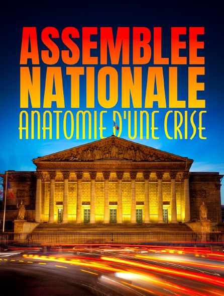Assemblée nationale, anatomie d'une crise