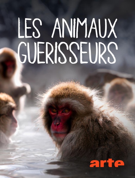 Arte - Les animaux guérisseurs
