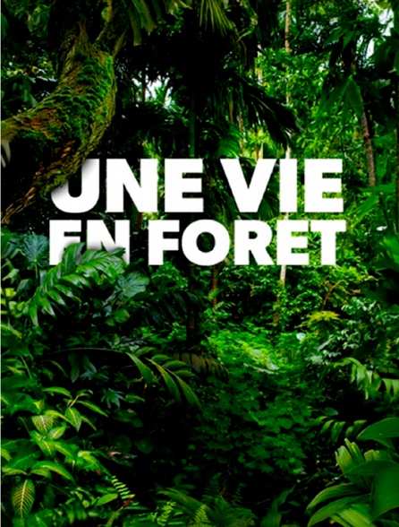 Une vie en forêt