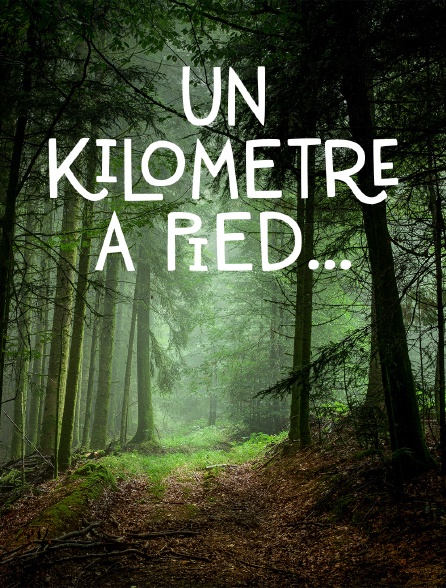 Un kilomètre à pied... *2021