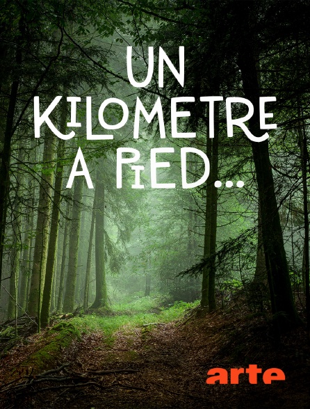 Arte - Un kilomètre à pied... *2021