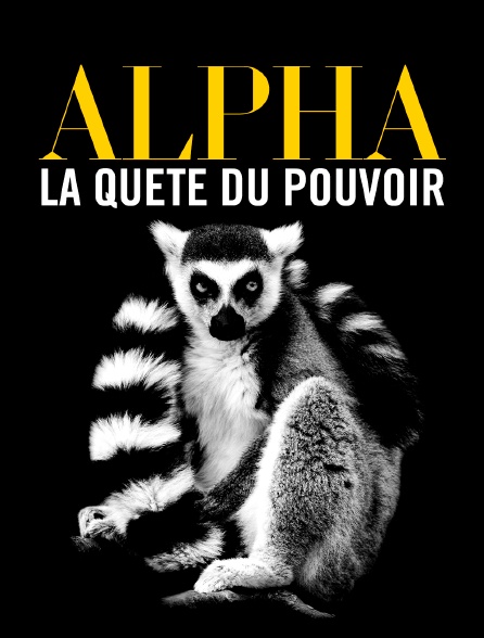 Alpha, la quête du pouvoir